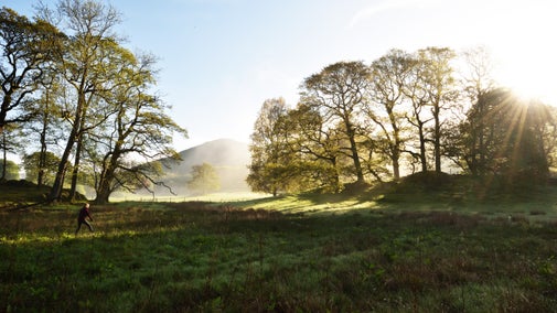 Early morning walk in the woods at Fell Foot, Cumbria
